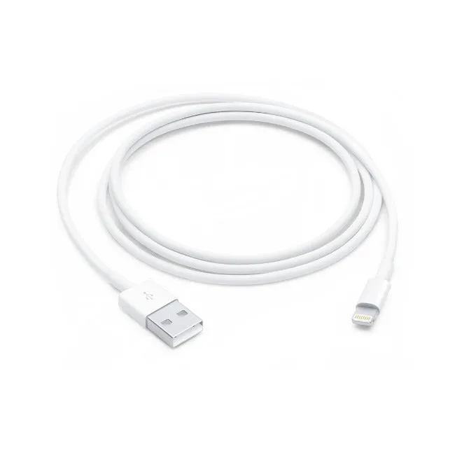 Apple Lightning to USB Cable (1 m)