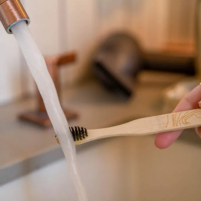 Bamboo Toothbrush | Black Bristles