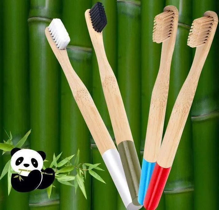 Bamboo Toothbrush