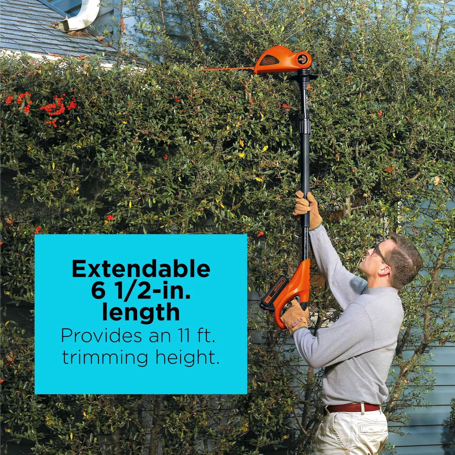 Black & Decker LPHT120 20V MAX* Lithium Pole Hedge Trimmer (LPHT120)