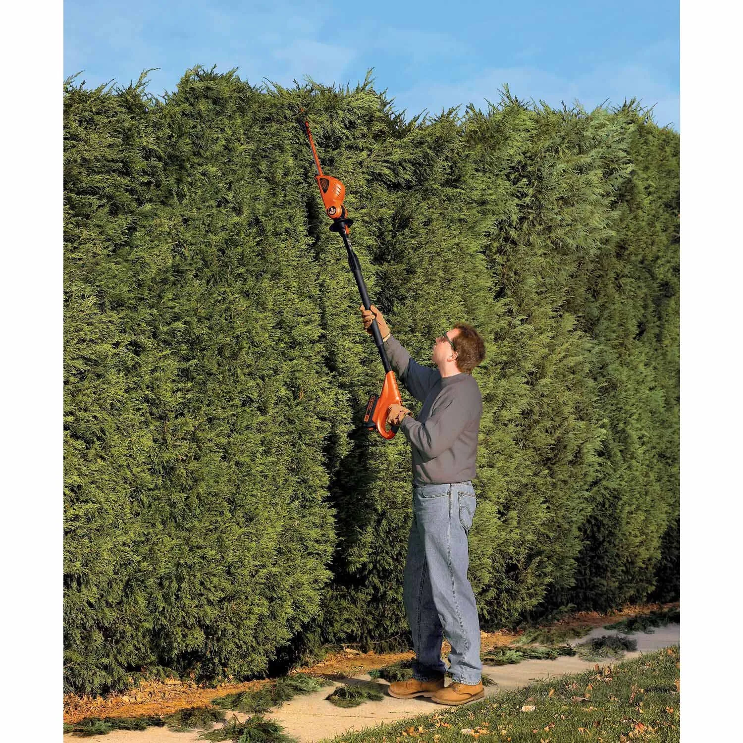 Black & Decker LPHT120 20V MAX* Lithium Pole Hedge Trimmer (LPHT120)