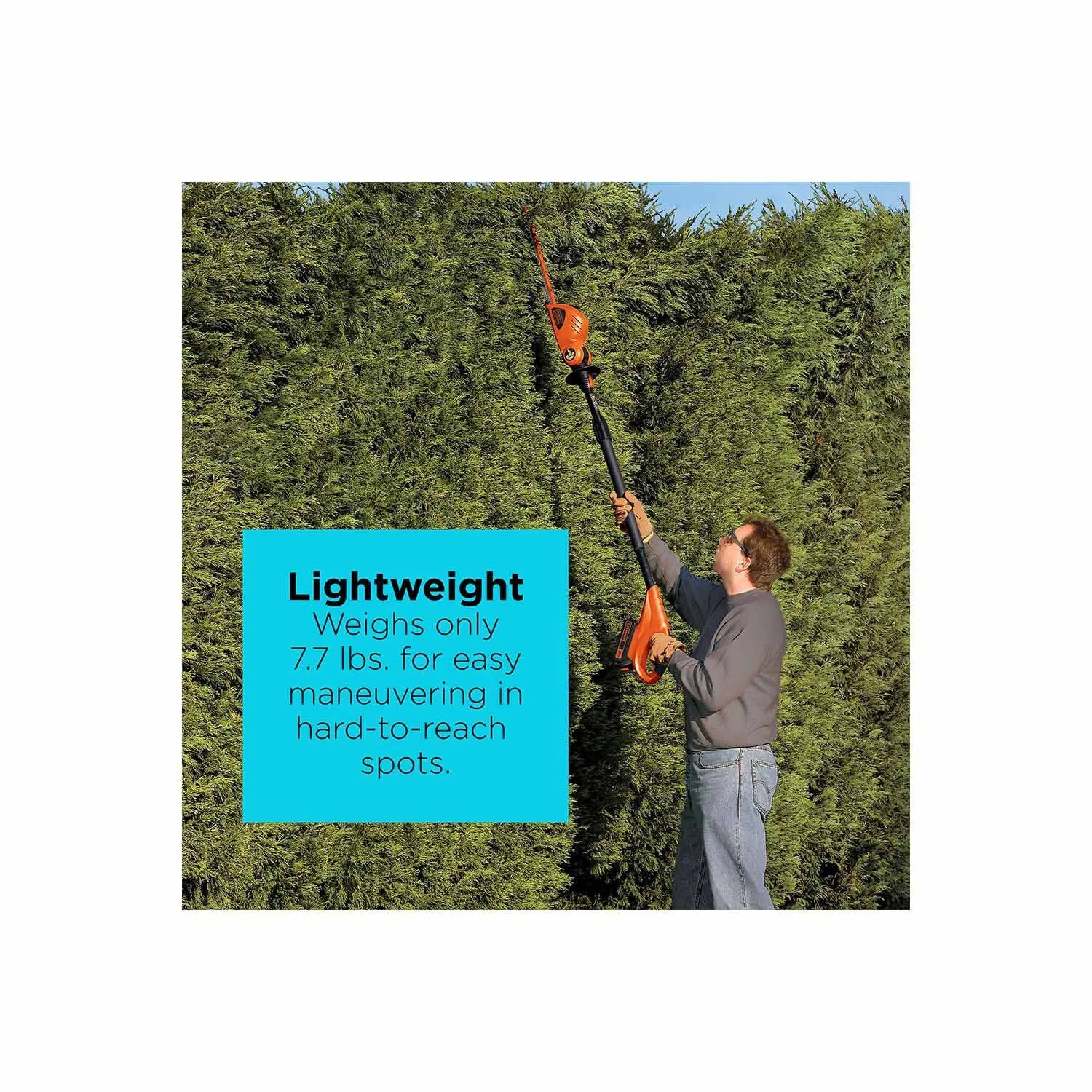 Black & Decker LPHT120 20V MAX* Lithium Pole Hedge Trimmer (LPHT120)