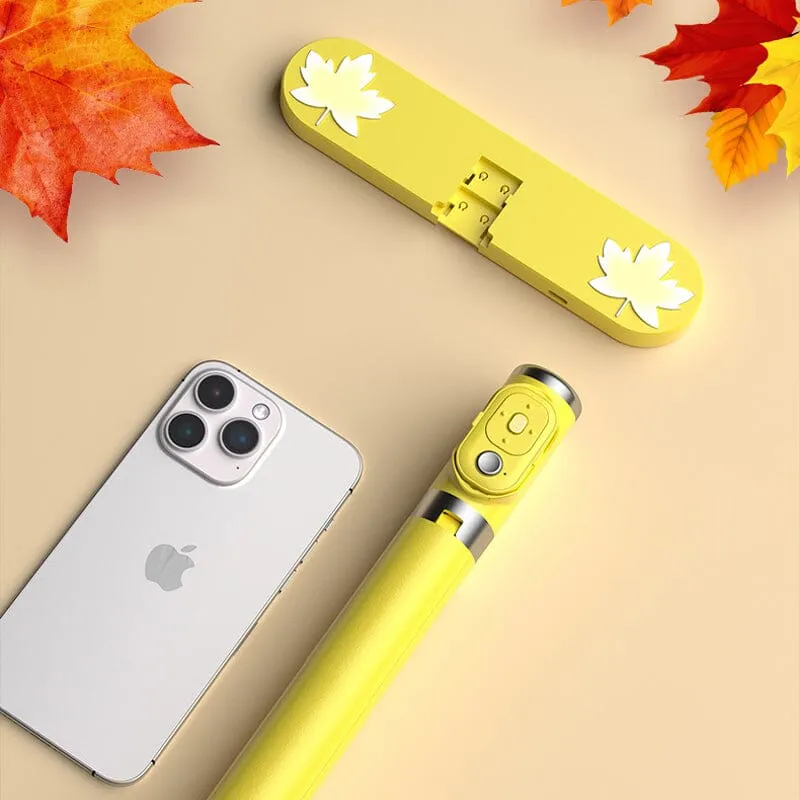 Complementary light selfie stick