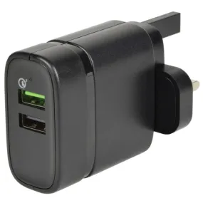 Dual Port Mains Fast Charger