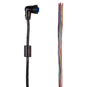 Garmin In/Out Data Cable 19-Pin, Sensor/Relay Output