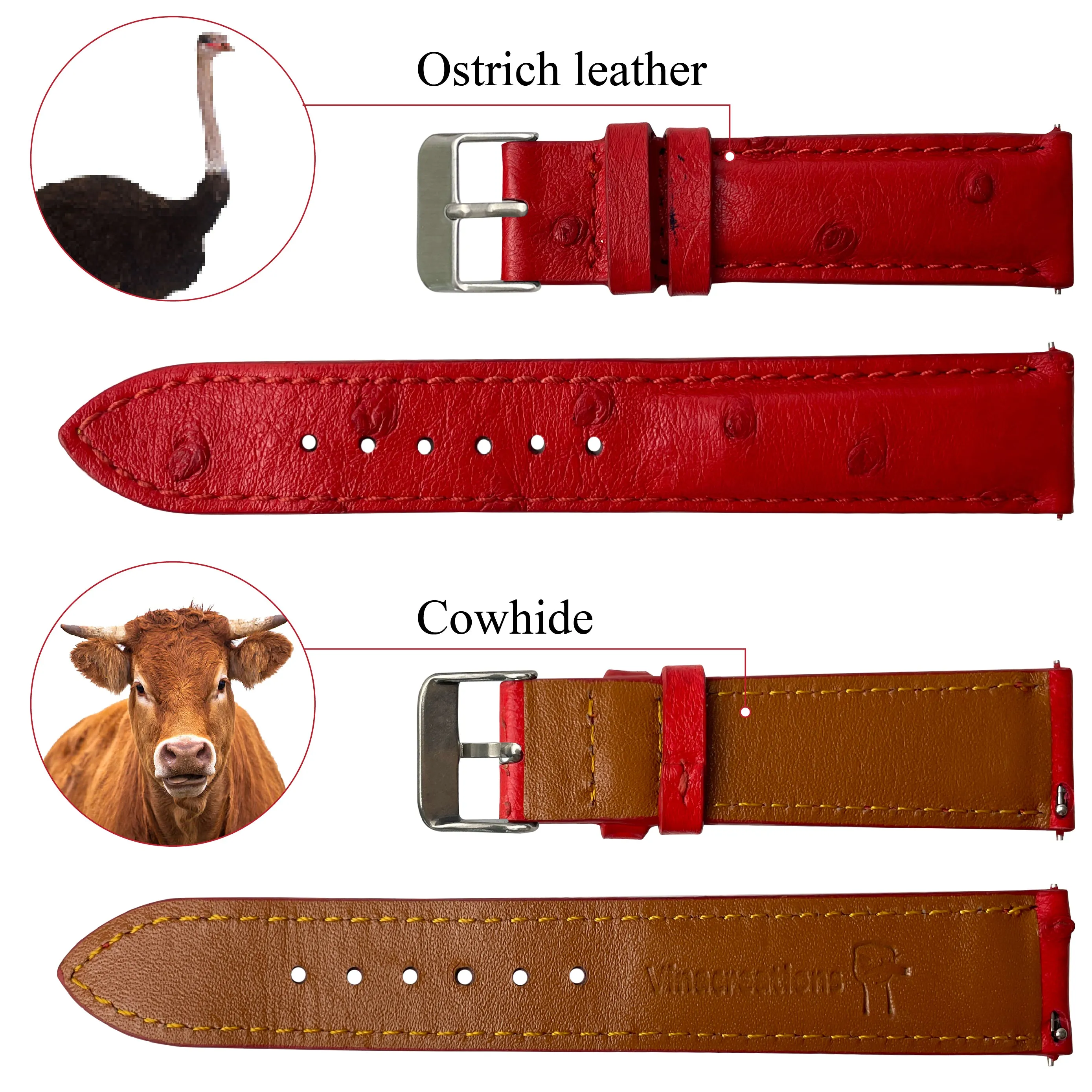 Red Genuine Ostrich Watch Strap Quick Release DH-190