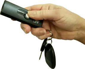 Streetwise USB Key-Chain Stun Gun Black