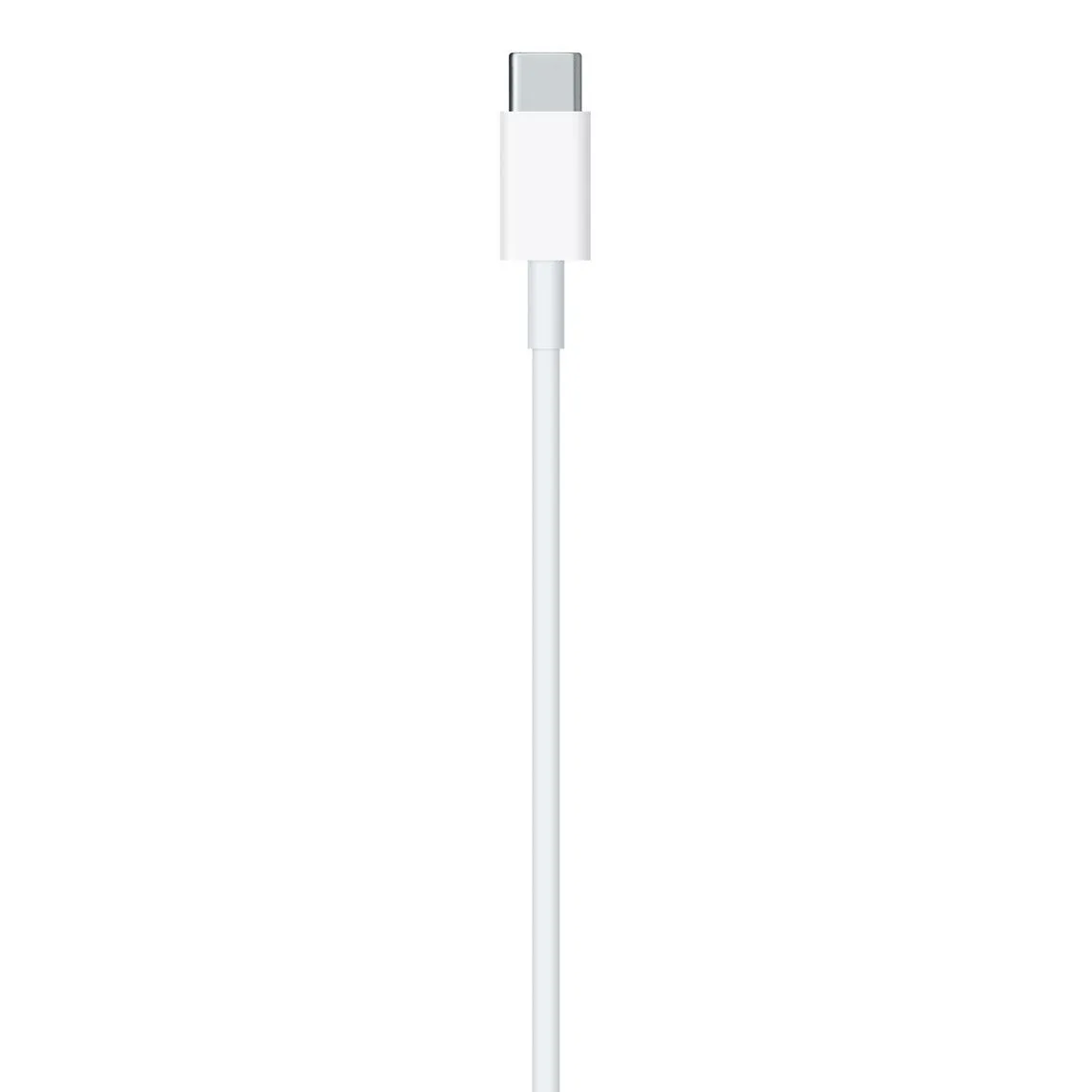 USB-C to Lightning Cable (1m)