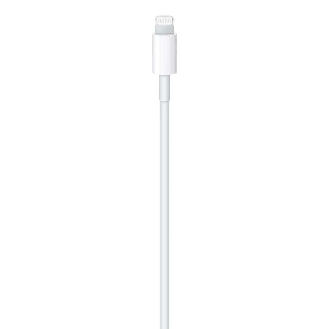 USB-C to Lightning Cable (1m)