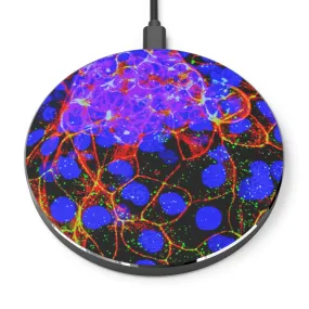 Wireless Charger AL BLUE DESIGNED COLORFUL